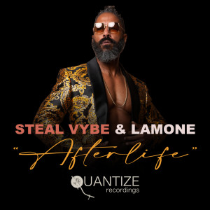Album Afterlife from Steal Vybe