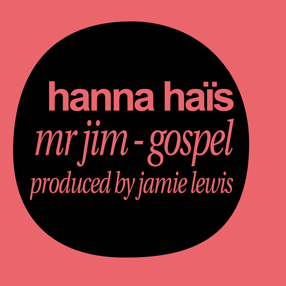 Mr jim (Jamie Lewis Radio Version)