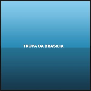 收聽Mc Pixadão的TROPA DA BRASILIA (Explicit)歌詞歌曲