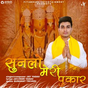 Listen to Sunlo Meri Pukar song with lyrics from Jay Yadav