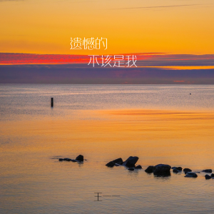 Album 遗憾的不该是我 from 王一一