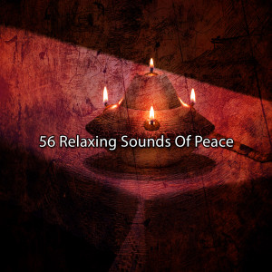 Album 56 Relaxing Sounds Of Peace oleh Exam Study Classical Music Orchestra