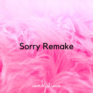 Album Sorry Remake from Alan Walker