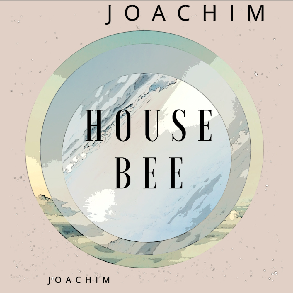 House Bee (No bee)