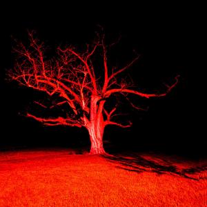 ดาวน์โหลดและฟังเพลง Edge Of The Woods (Explicit) พร้อมเนื้อเพลงจาก Seagrave