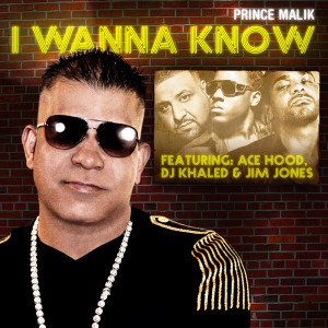 Album I Wanna Know (Remix) [feat. DJ Khaled, Ace Hood & Jim Jones] from DJ Khaled