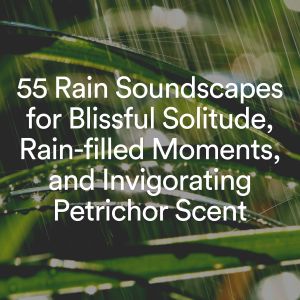 Album 55 Rain Soundscapes for Blissful Solitude, Rain-filled Moments, and Invigorating Petrichor Scent oleh Yoga Rain