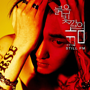 ดาวน์โหลดและฟังเพลง 红色之夜 (Feat. Samuel Seo) พร้อมเนื้อเพลงจาก 스틸 피엠