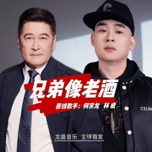 Listen to 兄弟像老酒 (伴奏) song with lyrics from 何宗龙