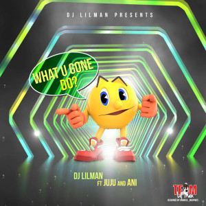 Listen to What You Gone Do (feat. Juju & Ani) song with lyrics from DJ LILMAN