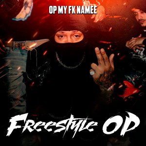Listen to Freestyle Op song with lyrics from Op My Fk Namee