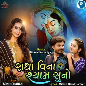 Album Radha Vina Shyam Suno from 