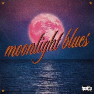 Listen to moonlight blues (Explicit) song with lyrics from スズメバチ