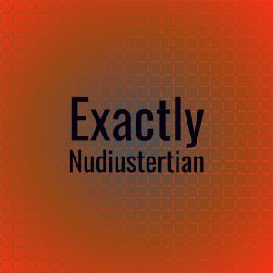 Various Artists的專輯Exactly Nudiustertian