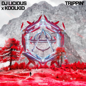 Listen to Trippin' (Explicit) song with lyrics from DJ Licious