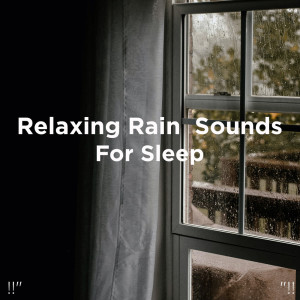 ดาวน์โหลดและฟังเพลง Sleep Sounds Of The Rainforest พร้อมเนื้อเพลงจาก Meditation Rain Sounds