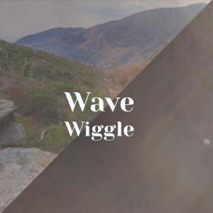 Listen to Wave Wiggle song with lyrics from Dhon Muez