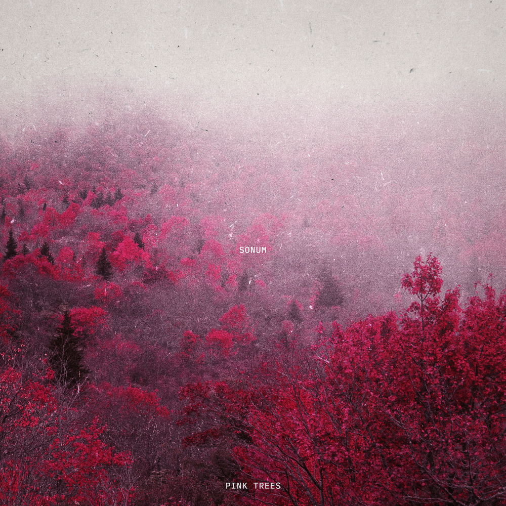Pink Trees (其他)