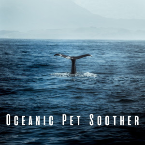 Oceanic Pet Soother: Gentle Insects and Chill Music for Serenity
