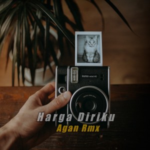 Listen to Harga Diriku Jedag Jedug song with lyrics from Agan Rmx