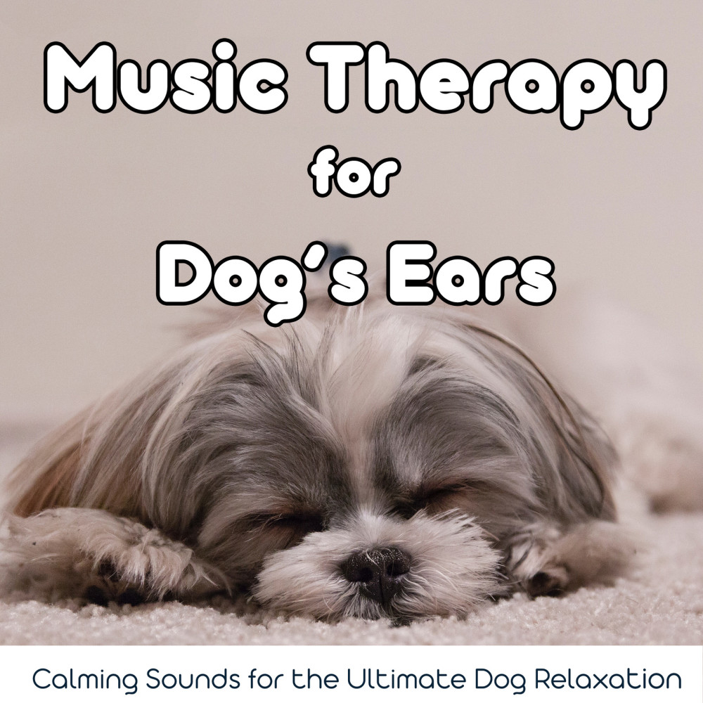 Peaceful Sleep Music for Dogs