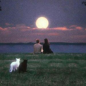 收聽Ali Zeeshan的lost you (feat. humail) (Explicit)歌詞歌曲