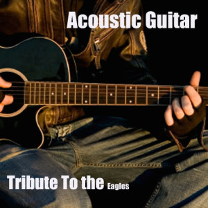 ดาวน์โหลดและฟังเพลง Already Gone พร้อมเนื้อเพลงจาก Acoustic Guitar Tribute Players