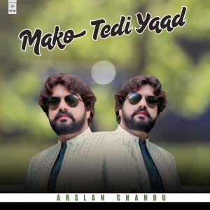 Listen to Mako Tedi Yaad song with lyrics from Arslan Chandu