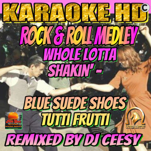 收听DJ Ceesy的Rock&Roll Medley: Whole Lotta Shakin'/ Blue Suede Shoes / Tutti Frutti (2022 remastered & remixed - Karaoke Version)歌词歌曲