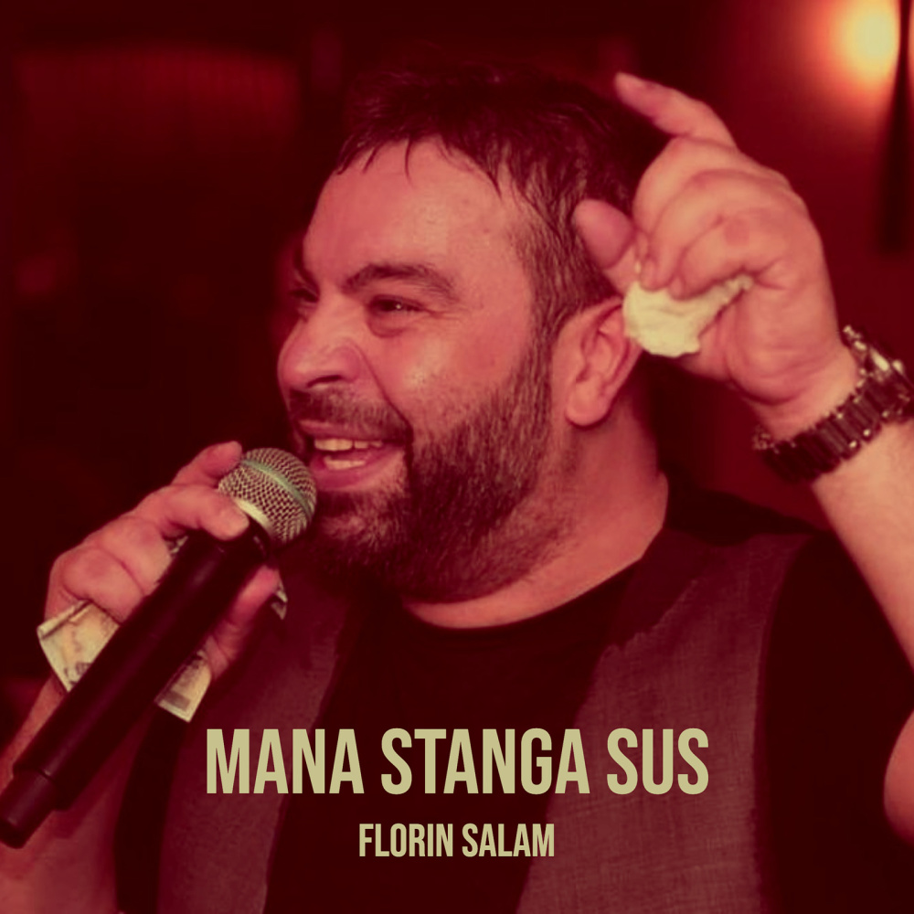 Mana Stanga Sus