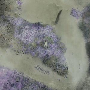 收聽Dylan Fraser的Vipers (Explicit)歌詞歌曲