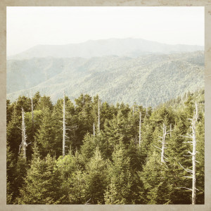 Listen to Feel So Lucky (其他) song with lyrics from Cody Francis