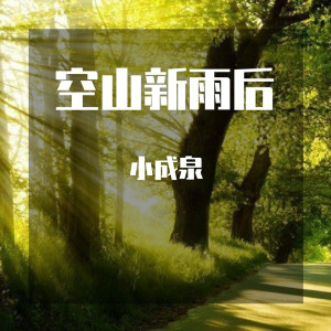 收听小成泉的你永远是我的宝贝，宝贝 (抖音完美版)歌词歌曲