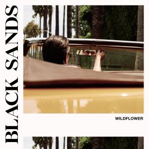 Black Sands的專輯Wildflower