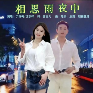丁瑞梅的专辑相思雨夜中（对唱版）