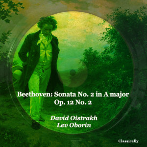 Listen to II. Andante piu tosto allegretto song with lyrics from David Oistrakh