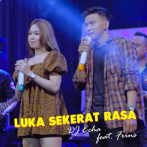Dengarkan Luka Sekerat Rasa lagu dari DJ Echa dengan lirik