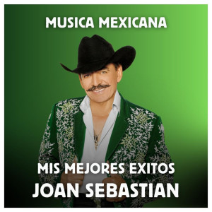 อัลบัม Música Mexicana - Mis Mejores Exitos ศิลปิน Joan Sebastian