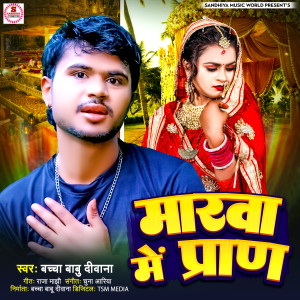 Album Marwa Me Pran from Bachcha Babu Diwana