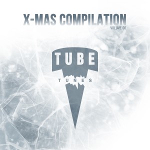 Various Artists的專輯X-Mas Compilation, Vol.6