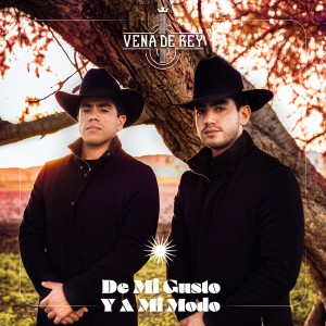 ดาวน์โหลดและฟังเพลง ¿Y Todo para Qué? พร้อมเนื้อเพลงจาก Vena De Rey