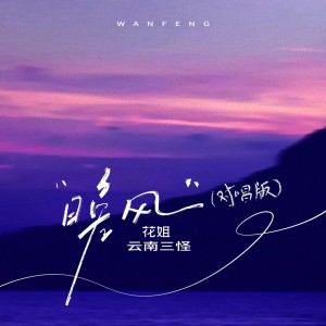 Album 晚风（对唱版） from 花姐