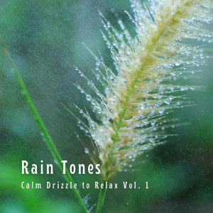 อัลบัม Rain Tones: Calm Drizzle to Relax Vol. 1 ศิลปิน Essential Nature Sounds
