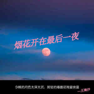 Listen to 烟花开在最后一夜 song with lyrics from 王淘沙