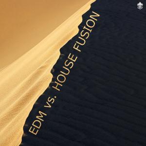 Listen to Faded(With Me Now)(feat. Simon Erics) song with lyrics from Dirty Twist