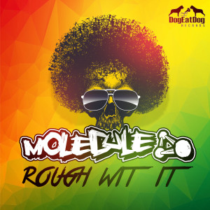 Album Rough Wit It from Molecule