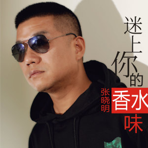 ดาวน์โหลดและฟังเพลง 迷上你的香水味 พร้อมเนื้อเพลงจาก 张晓明