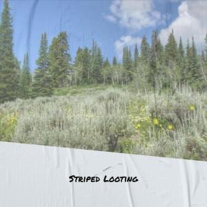 Album Striped Looting from Various