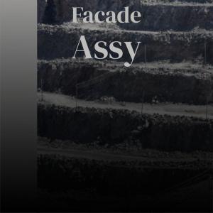 Various的专辑Facade Assy