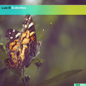 Luiz B的专辑Butterflies